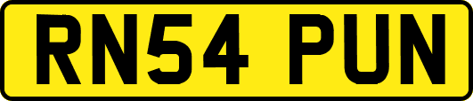 RN54PUN