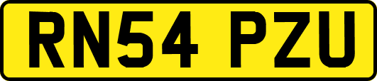 RN54PZU