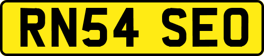 RN54SEO