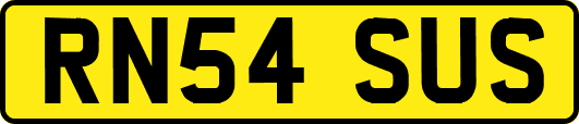 RN54SUS