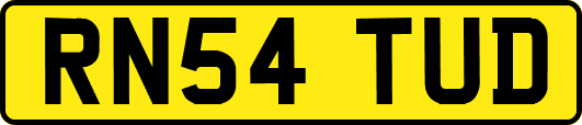 RN54TUD
