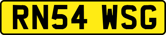 RN54WSG