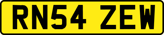 RN54ZEW