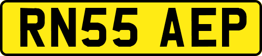 RN55AEP