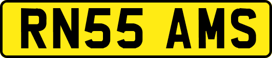 RN55AMS