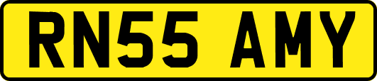 RN55AMY