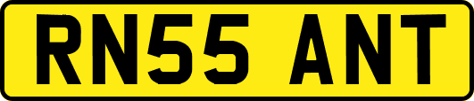 RN55ANT