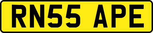 RN55APE