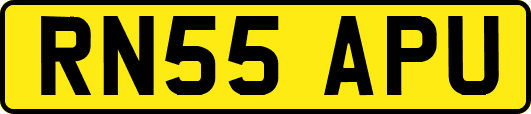 RN55APU