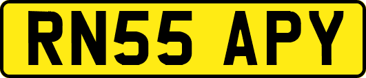 RN55APY