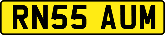 RN55AUM