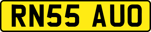 RN55AUO