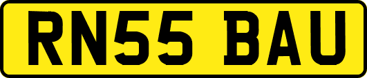 RN55BAU