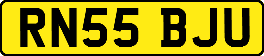 RN55BJU