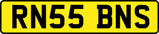 RN55BNS