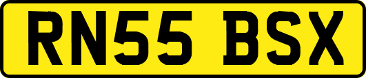 RN55BSX