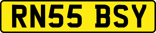RN55BSY