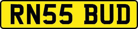 RN55BUD