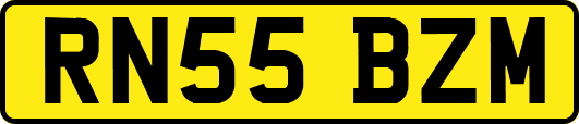 RN55BZM