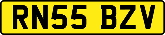 RN55BZV
