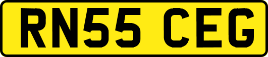 RN55CEG