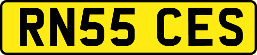 RN55CES