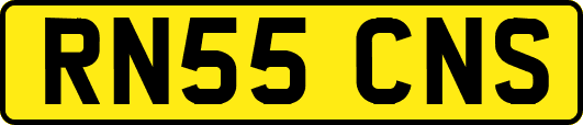 RN55CNS