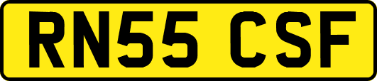 RN55CSF