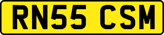 RN55CSM