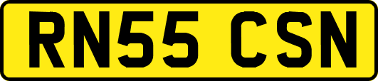 RN55CSN