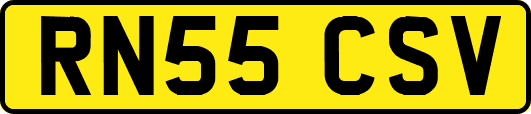 RN55CSV