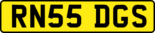 RN55DGS