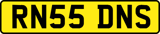 RN55DNS