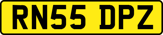 RN55DPZ