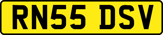 RN55DSV