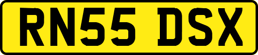 RN55DSX