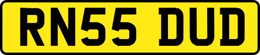 RN55DUD