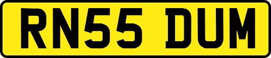 RN55DUM