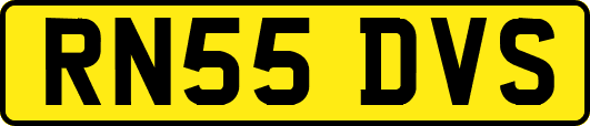 RN55DVS