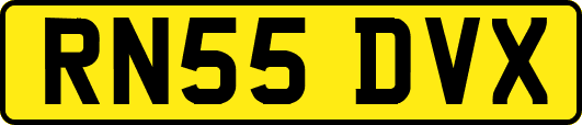 RN55DVX