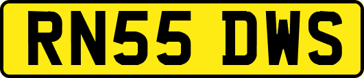 RN55DWS