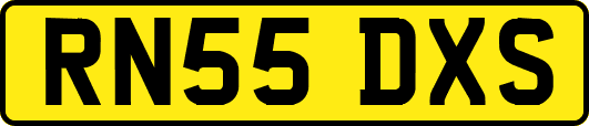 RN55DXS