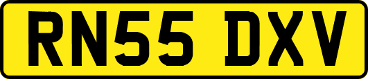 RN55DXV