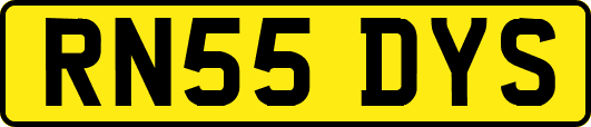 RN55DYS