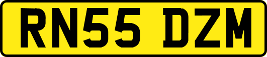 RN55DZM