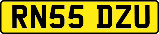 RN55DZU