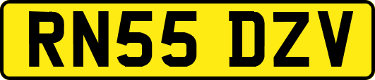 RN55DZV