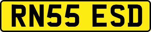 RN55ESD