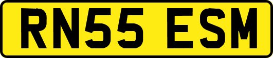 RN55ESM