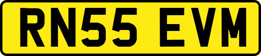 RN55EVM